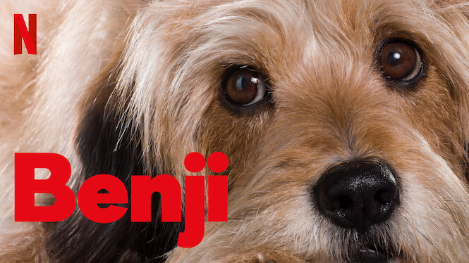 Benji (2018) - Netflix | Flixable